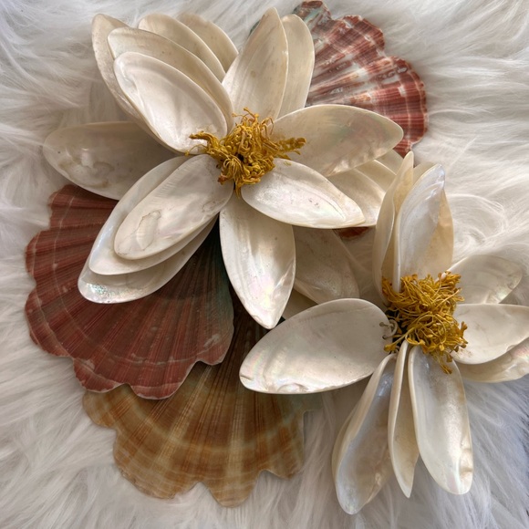 Other - Shell magnolia pearlescent home decor mid century modern